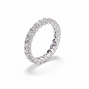 <tc>Transparenz-Ring – Ein reiner, zeitloser Glanz</tc>