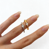 <tc>Ring Glanzpunkt – Schönheit in der Schwebe</tc>