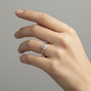 <tc>Rotierender Sternschnuppenring – Ein Schimmer in Bewegung</tc>